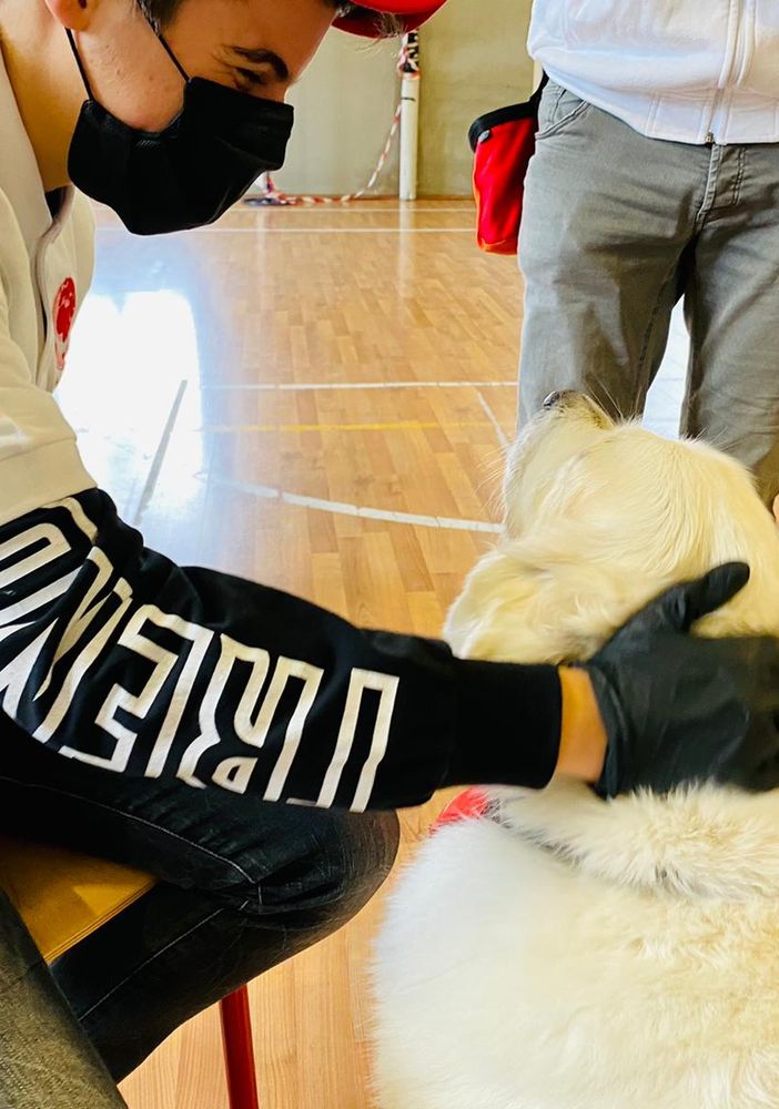 Nelle scuole cottolenghine di Torino, Pinerolo e Brusasco arriva la Dog Therapy