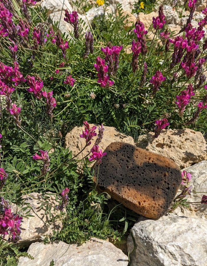 Dalle mutande al cotton fioc e fazzoletti, sulle Alpi mezzo chilo di rifiuti ogni Km