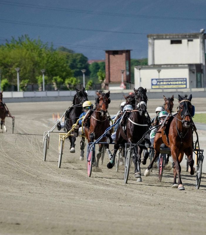 Ippodromo di Vinovo: il 1° settembre la pista riapre con il classico Gran Premio Marangoni