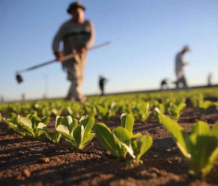 agricoltore - foto di repertorio