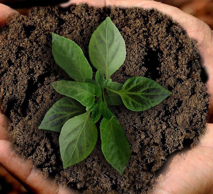 ItaliaViva fa il punto sull’agricoltura del Pinerolese