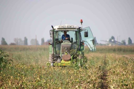 Coldiretti Piemonte: &quot;Serve subito liquidità per le imprese in crisi”