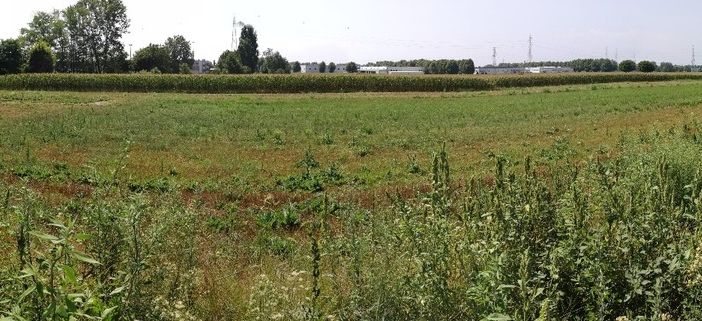 area verde vadò