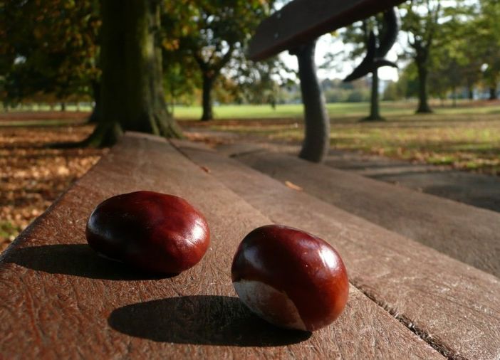 Meteo, ecco su Torino e provincia le piogge che ci riportano in autunno