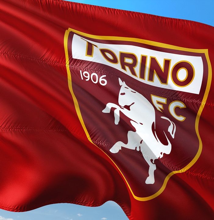 bandiera toro