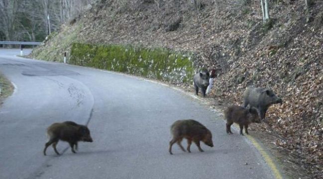 foto di repertorio