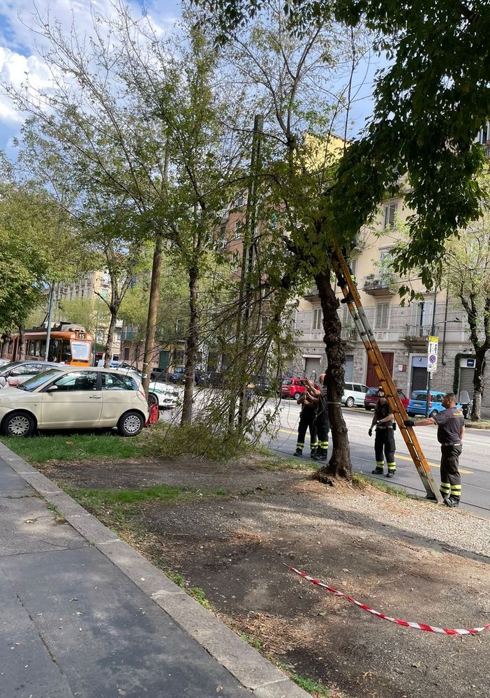 Nuova bomba d'acqua a Torino: grandine, frane, alberi caduti e traffico in tilt. Scoperchiato il tetto della scuola Salvemini