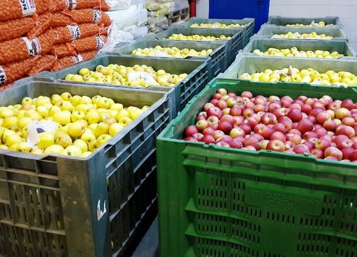 Coldiretti Piemonte: &quot;La follia dell'Ue mette in ginocchio l'export della frutta: a rischio 500 milioni