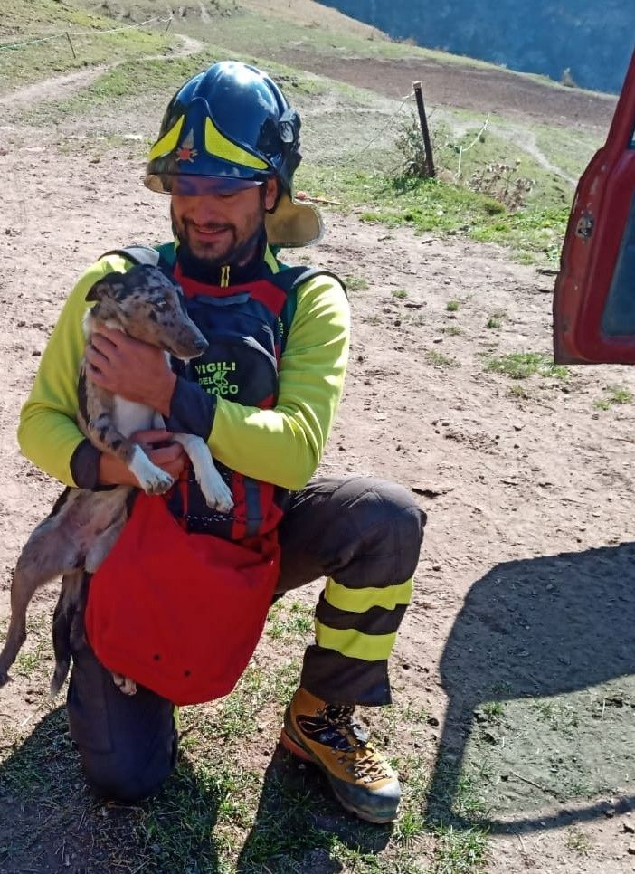 Fenestrelle, cane da pastore resta bloccato su una parete rocciosa: portato in salvo dall'elicottero dei vigili del fuoco