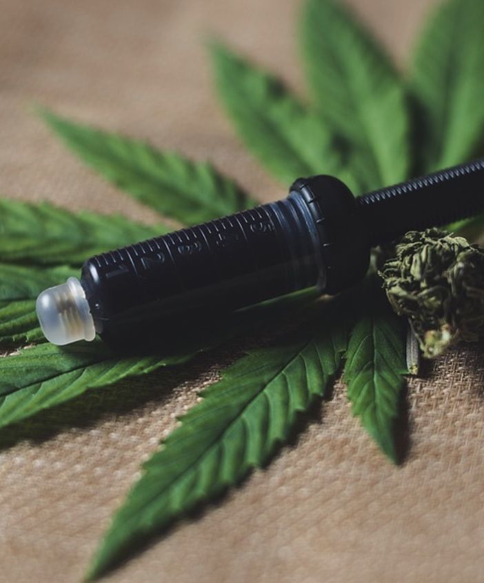 Gli agricoltori chiedono regole chiare per la coltivazione della cannabis a uso legale