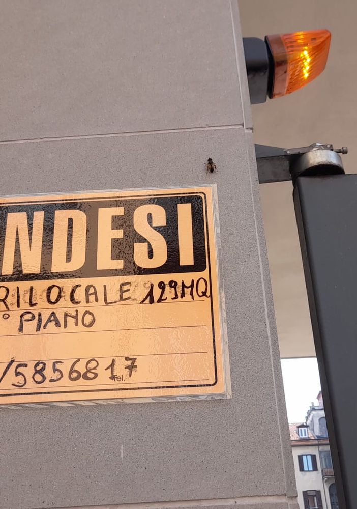 Aumentano le compravendite a Torino, più che nel resto del Piemonte