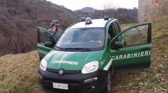 I carabinieri della Forestale avvertono: &quot;Nel 2022 boom di incendi, aumenta la pesca abusiva&quot;