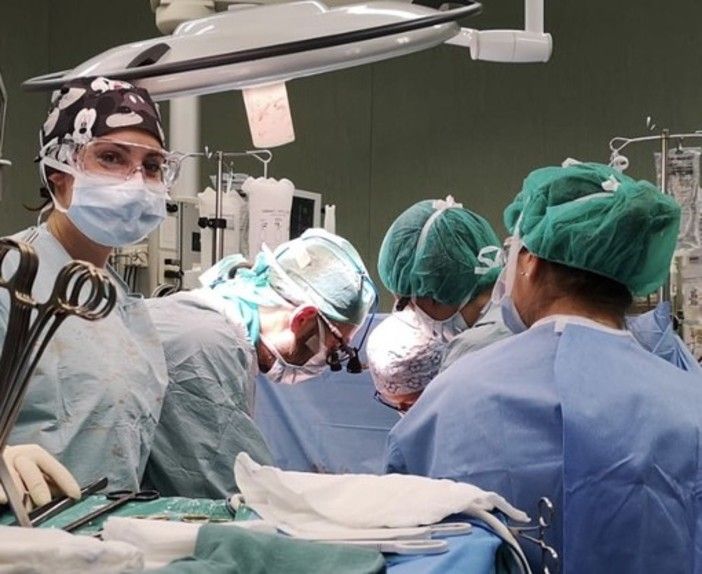 Bimbo morto per la puntura di un calabrone: il trapianto degli organi salva cinque vite