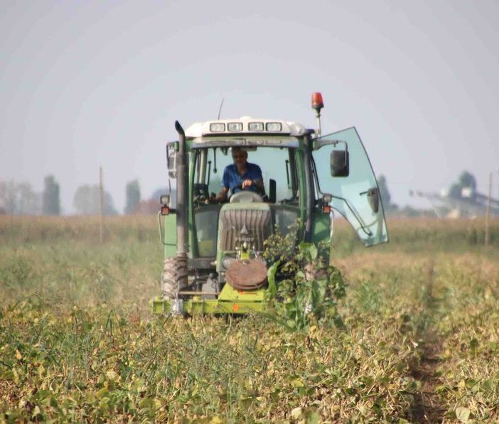 Picchi invernali di freddo e di caldo in 10 giorni: ecco il clima pazzo che ha piegato l'agricoltura piemontese. &quot;E mancano i giovani&quot;