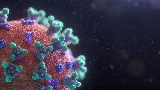 Covid-19, il virus continua ad arretrare: 43 positivi in più rispetto a ieri e 12 decessi, di cui 7 a Torino