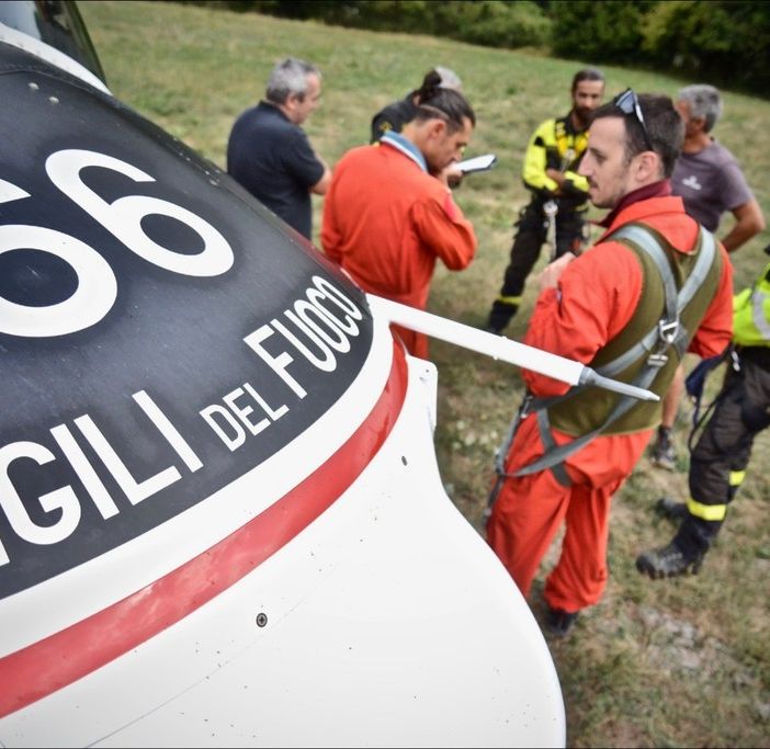 Drago dei vigili del fuoco