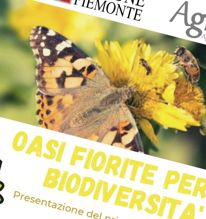 Invito Conferenza Stampa “Oasi fiorite per la biodiversità”