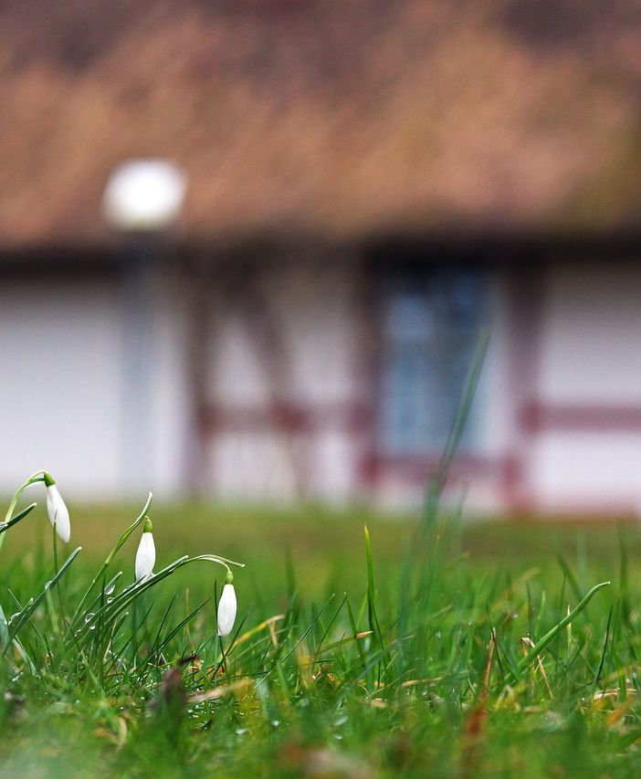 Concorso “Il giardino più bello”: la Regione premia chi si prende cura degli spazi comuni nelle case popolari