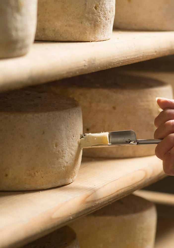 Nasce il progetto LoST EU: Looking for the Sustainability of Taste in Europe