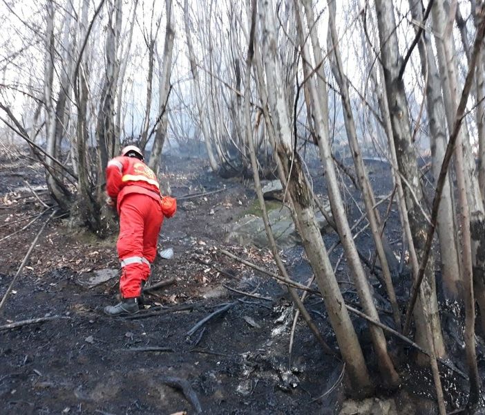 incendi boschivi - foto d'archivio
