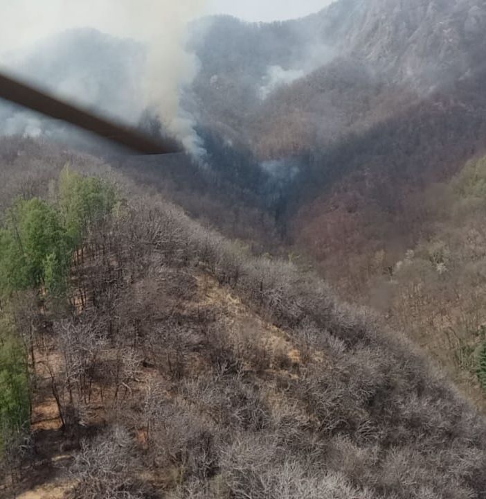 Da domani in tutto il Piemonte proclamato lo stato di massima pericolosità per gli incendi boschivi