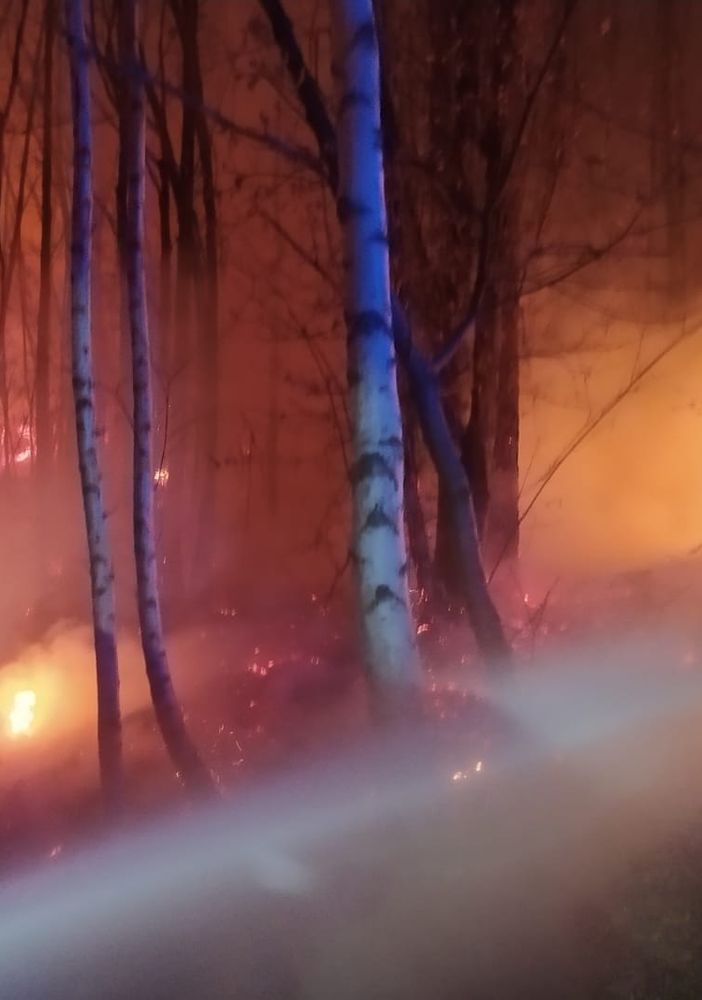 vigili del fuoco in azione