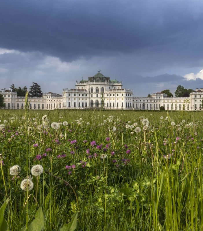 A Stupinigi una mostra racconta l'emergenza della donazione di sangue