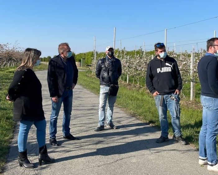 Gelata straordinaria nei frutteti del Saluzzese, Bongioanni: “Si garantisca almeno il 40% delle perdite” [VIDEO]