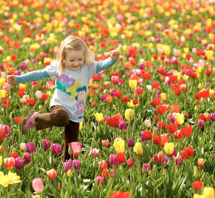 fiori