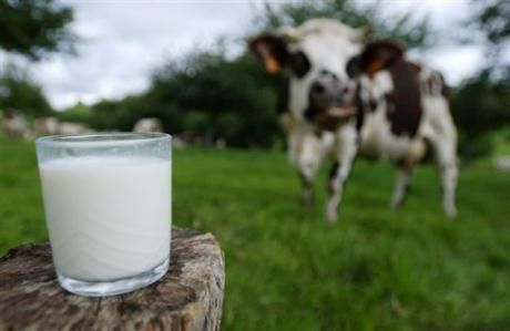 Coronavirus, dalla Regione un sostegno alla filiera lattiero casearia del Piemonte