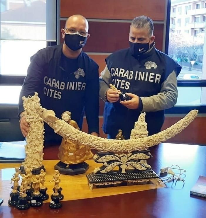 Commercio illecito di avorio, denunciate 27 persone e sequestrati 258 oggetti