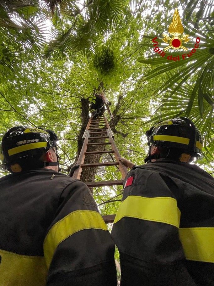 vigili del fuoco in azione