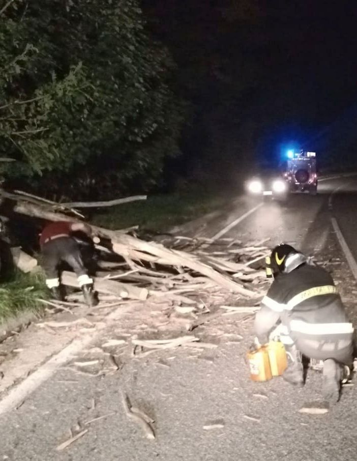 Albero si schianta sulla carreggiata, rimosso tronco a Roure