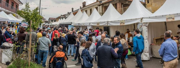 Profumo di formaggio e suoni di festa: a Scalenghe torna la fiera lattiero casearia