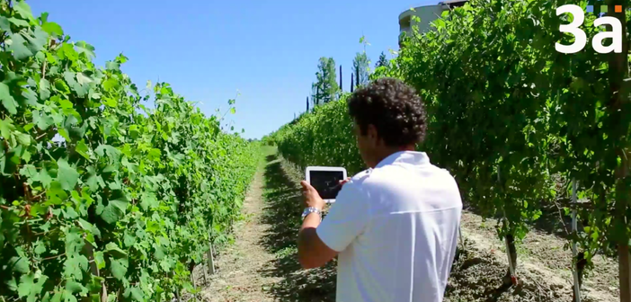 3A porta l'innovazione nei controlli di qualità dei dati meteorologici: "Fondamentale il supporto di Cdo e Camera" 3A porta l'innovazione nei controlli di qualità dei dati meteorologici: "Fondamentale il supporto di Cdo e Camera"