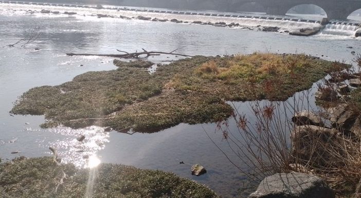 Clima pazzo, il Piemonte soffre più del resto del mondo: due gradi e mezzo in più in 61 anni Clima pazzo, il Piemonte soffre più del resto del mondo: due gradi e mezzo in più in 61 anni