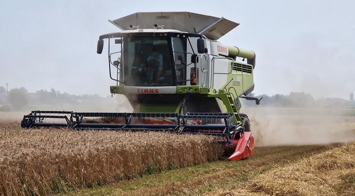 Trebbiatura del grano