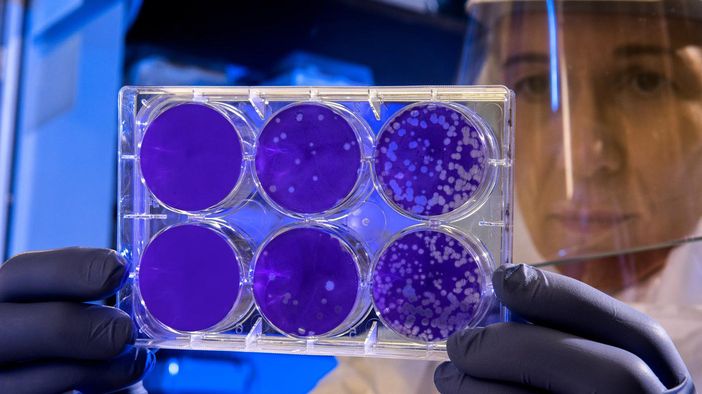 Coronavirus: dal Seremi le indicazioni per le Asl piemontesi Coronavirus: dal Seremi le indicazioni per le Asl piemontesi