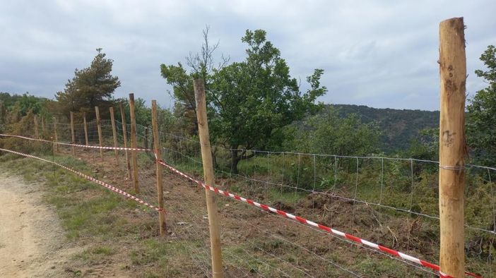 reti contenitive per peste suina