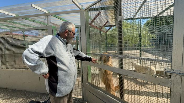 Davino Fazia con i suoi amici a quattro zampe