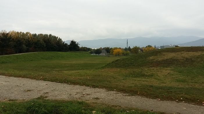 Cani liberi al Parco Olimpico di Pinerolo? "Presto verrà realizzata l’area sgambamento"