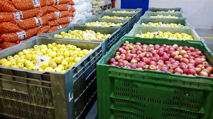 Coldiretti Piemonte: "La follia dell'Ue mette in ginocchio l'export della frutta: a rischio 500 milioni