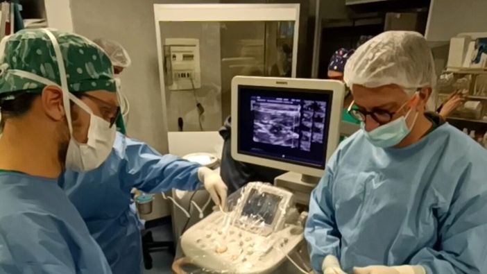 nefrologia asl to 5 - foto d'archivio nefrologia asl to 5 - foto d'archivio