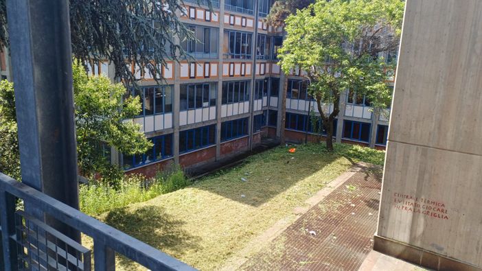 Erba alta: appalto da 700mila euro per la manutenzione del verde nelle scuole Erba alta: appalto da 700mila euro per la manutenzione del verde nelle scuole
