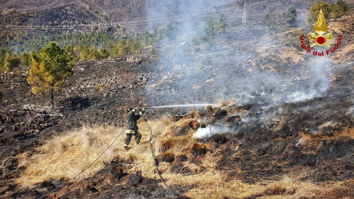 foto d'archivio foto d'archivio