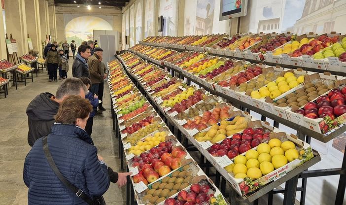 Cresce l’area espositiva delle macchine agricole e arrivano gli ospiti dai Sibillini per il nuovo Tuttomele
