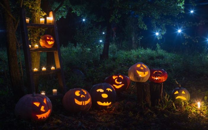 Paesana: il bosco di Pian Munè si trasforma per Halloween e diventa stregato Paesana: il bosco di Pian Munè si trasforma per Halloween e diventa stregato