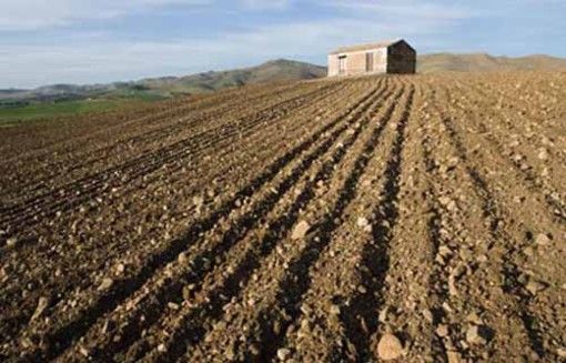 siccità e agricoltura