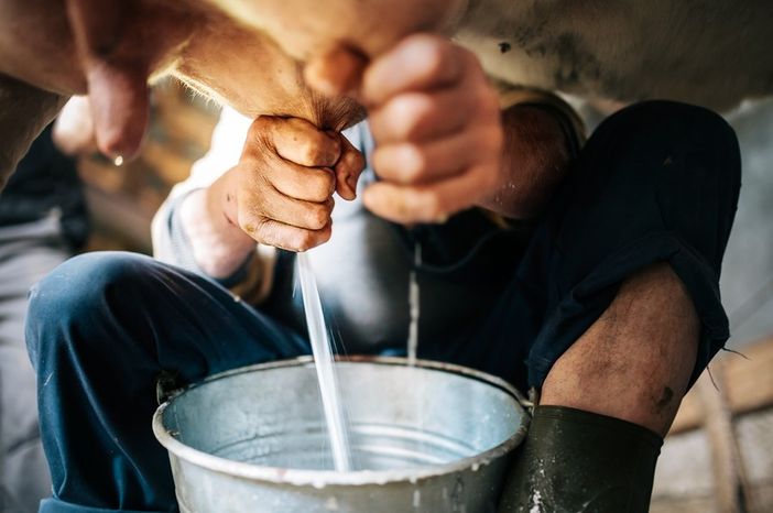 Coronavirus, appello di Agroindustria Confindustria Piemonte: “Scegliete il territorio, scegliete i nostri prodotti". Coronavirus, appello di Agroindustria Confindustria Piemonte: “Scegliete il territorio, scegliete i nostri prodotti".