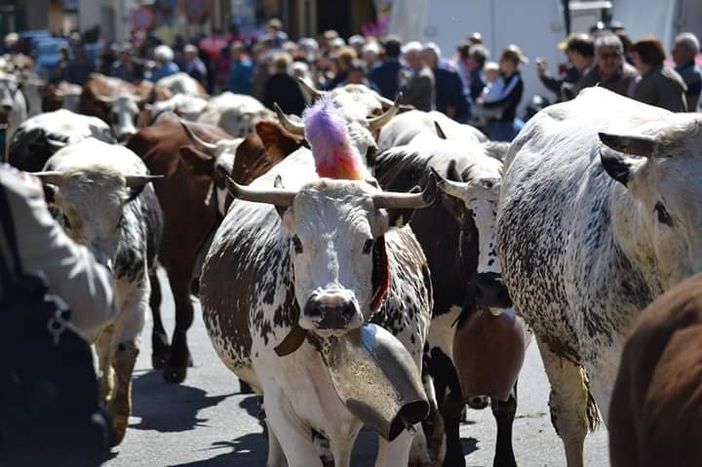 Un momento di una passata edizione de ‘La Fîra ’d la Calà’ di Bobbio Pellice